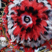 DSF3560_(226504496).jpg